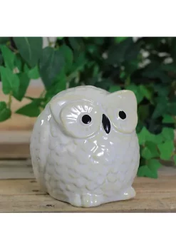 Coupon 💯 Roman 4.25" Pudgy Pals Wide Eyed Beige and Cream Owl Table Top Decorative Figure 🔥 -Cheap Lars Amadeus Shop Belk 3566