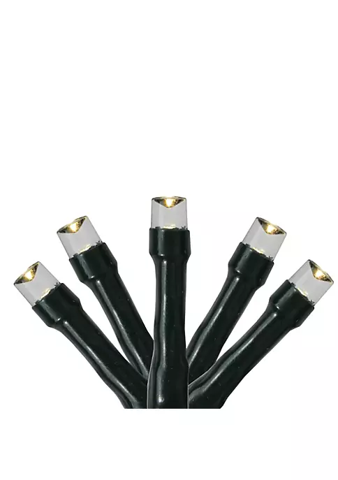 Budget ✨ Roman 200 Warm White USB LED Wide Angle 🎁 Christmas Lights - 50 ft Green Wire 🎁 1 Budget ✨ Roman 200 Warm White USB LED Wide Angle 🎁 Christmas Lights - 50 ft Green Wire 🎁