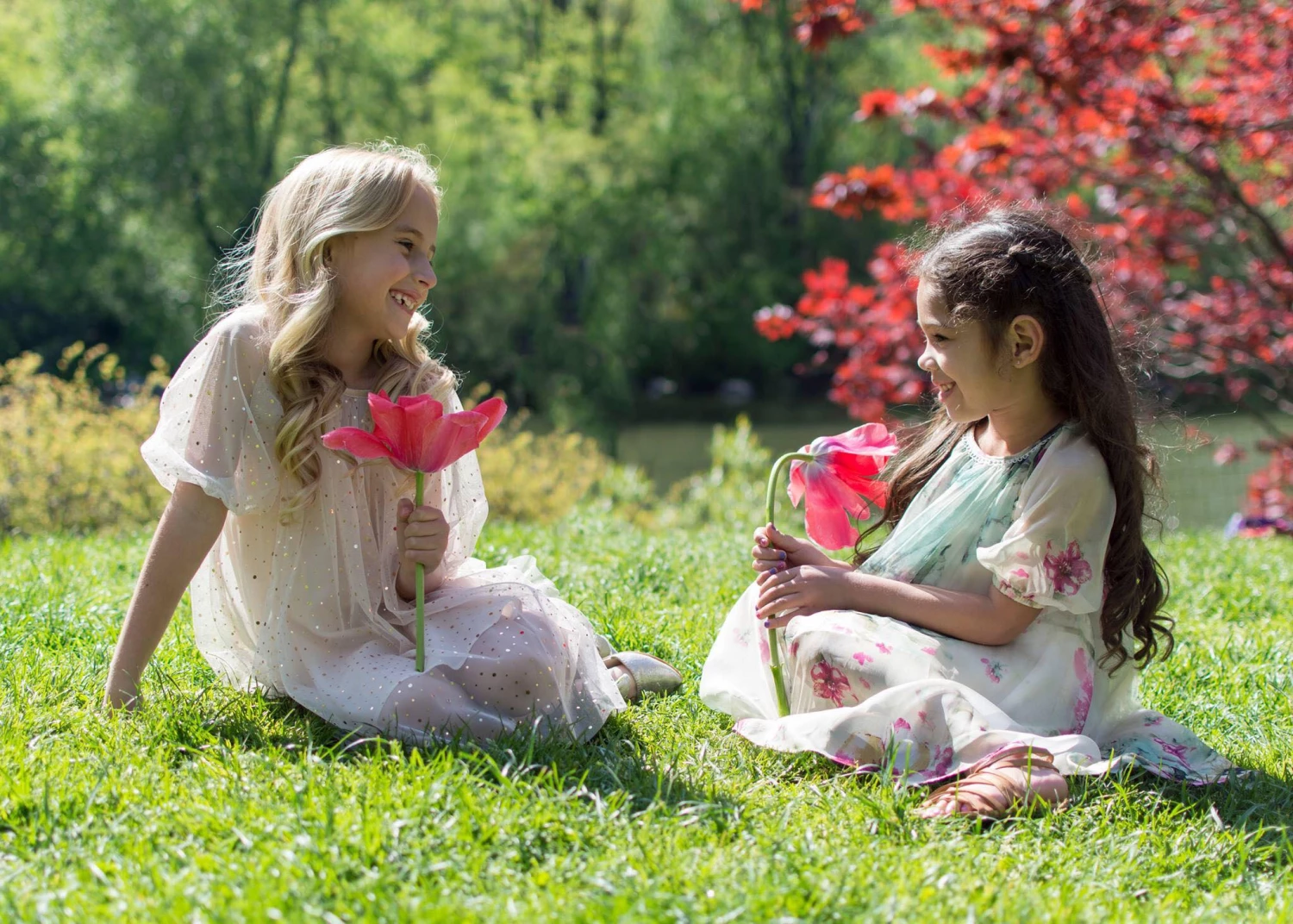 Cheap Lars Amadeus Shop 1 Cheap Lars Amadeus Shop -Cheap Lars Amadeus Shop 16299747 1415488615151031 21626284140644150 o